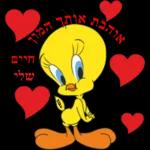 מדבקות