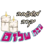 הכל הכל נפלא