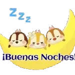 ¡Buenas Noches!