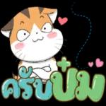 ชบา ” ไม่เคย อิจฉา.. “กุหลาบ ”