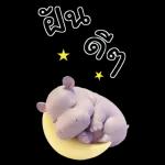 ฮิปโปรักดึงดงบิ๊ก