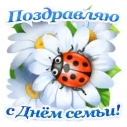 нов