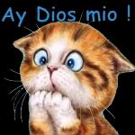 bendiciones