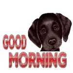 morning