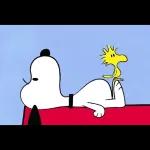 snoopy ☆