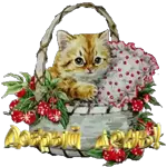 день,вечер,прив