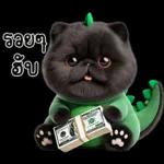 เหมียวดำ ไดโนเขียว