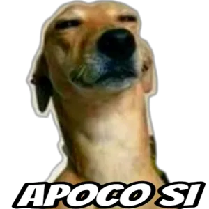 LRcuiQ