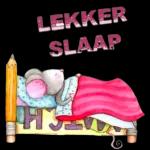 Lekker slaap