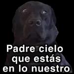 Francisco 