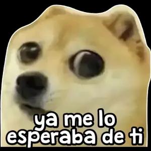 vxujgxu