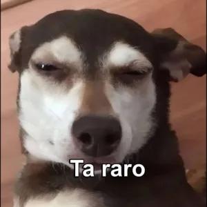 Ta raro - getsticker.com