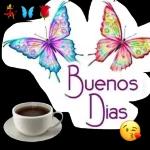 Buenos dias