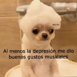 CpTzD4