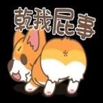 柯基犬椪椪懂吃懂吃！