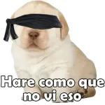 Buenos días 