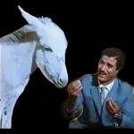 من الذي فاتك؟