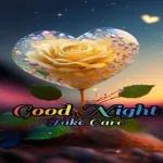 good morning and night