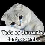 Me partiste el corazon