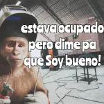 Anotado