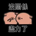 小水豚們的熱血應援