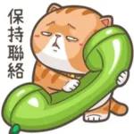 白烂猫   😎😎