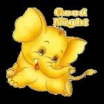 GOOD NIGHT
