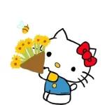 Kitty 