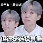 seventeen表情管理2 :: @fStikBot