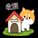 问问题： 柴犬的回答