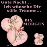 Gute Nacht...
ich wünsche Dir
süße Träume...
BIS
MORGEN
mybeautyples.de