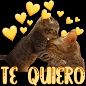 QjMlJH