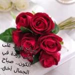 اختي