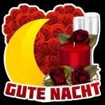 Ich wünsche dir einen schönen Abend🌹