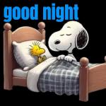 woohoo INGENILE IMALI!!