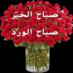 والد
:هنا
