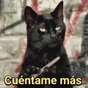 D5aDZn