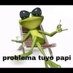 problema tuyo papi
