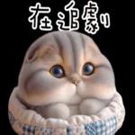 折耳貓貓 ❤ 給你一個讚 ❤