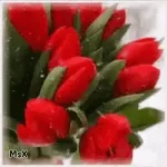 хэй