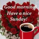 Ek pleit
vanaand
die
Bloed
van
JESUS
oor elkeen
se huis