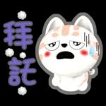 肉圓咪-好用生活貼