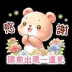熊熊綜合組♪
