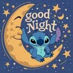 Stitch's lovely night