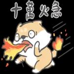 柴柴崩壞了 pack 1