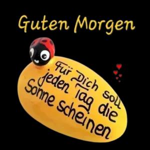 znfaoem