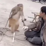 生气的表情