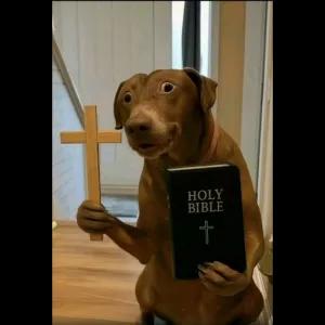 HOLY BIBLE - getsticker.com
