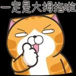 白爛貓53☆超靠北☆