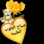(صب
ناق
لله
لله
صبح الخير